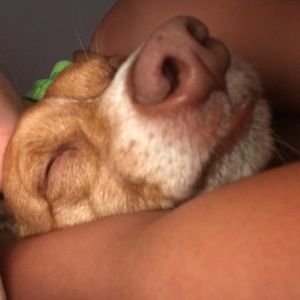 Meet your Posher, Bianca